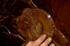 Photos Above by Greg Pallente were featured "Master of the Shop" October � 2007 Princeton Magazine / North Jersey Media Group. Check out this recent article featuring Eric Saperstein of Artisans of the Valley - Ram Carving Closeup