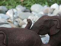 Restoration - A line of Hand Carved Teak Elephants - Before Restoration Closeup 1