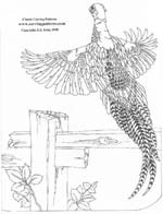 Pheasant Drawing by Lora S. Irish